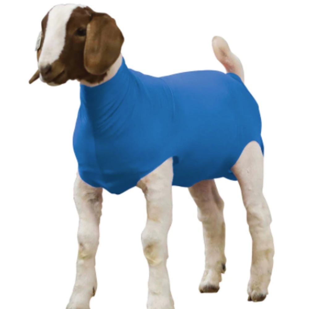 Spandex Goat Sheet